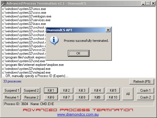 Advanced Process Termination Screenshot